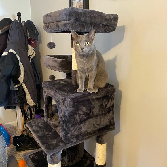 Meet your Posher, Emily - Picture 4 of 5